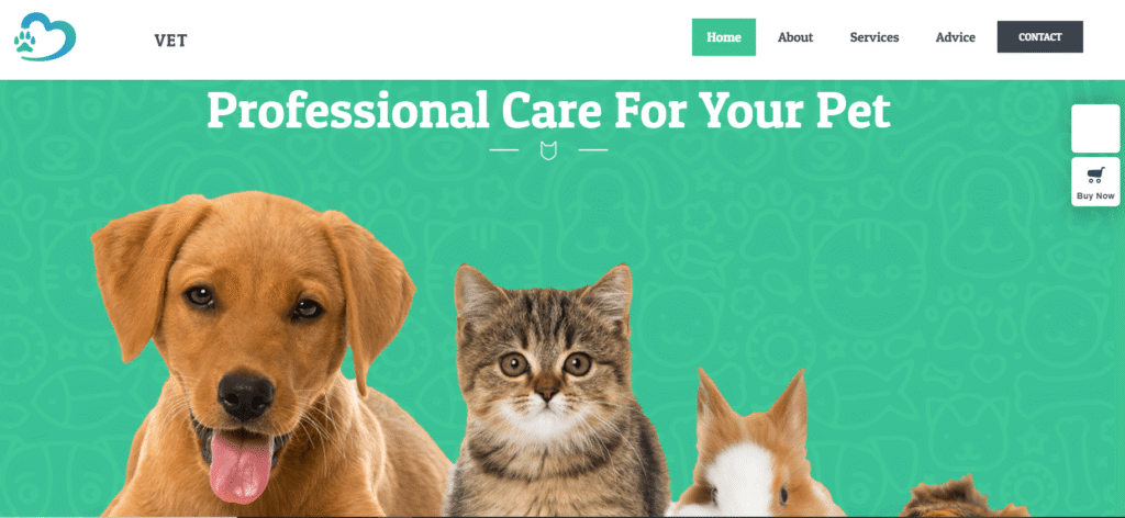 Site web Clinique Vétérinaire