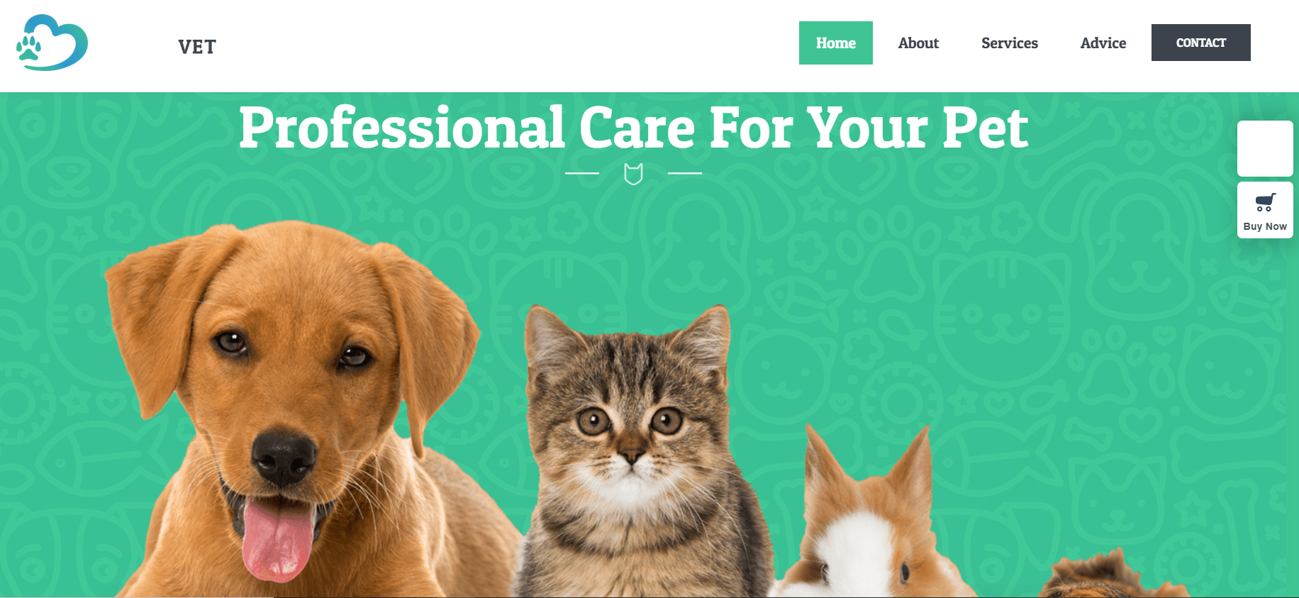 Site web Clinique Vétérinaire Site web Clinique Vétérinaire