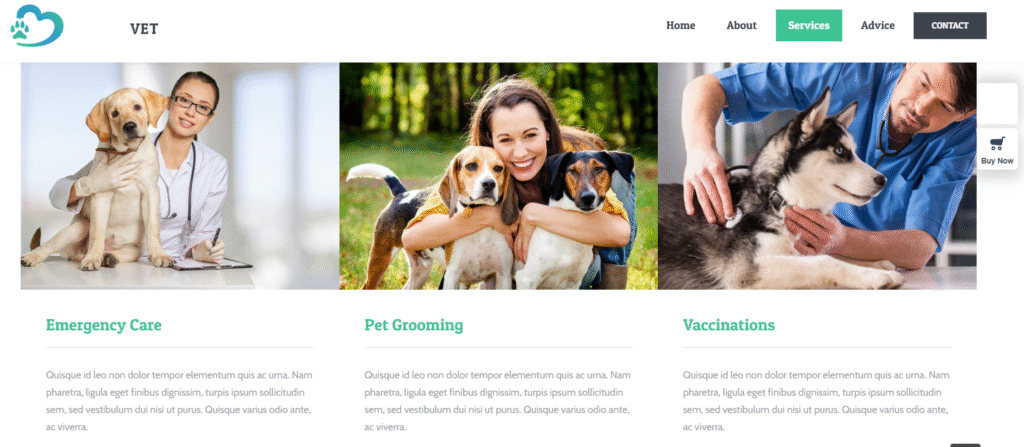 Site web Clinique Vétérinaire